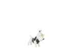 J-Line Hond Trui Keramiek Zwart/Wit Small