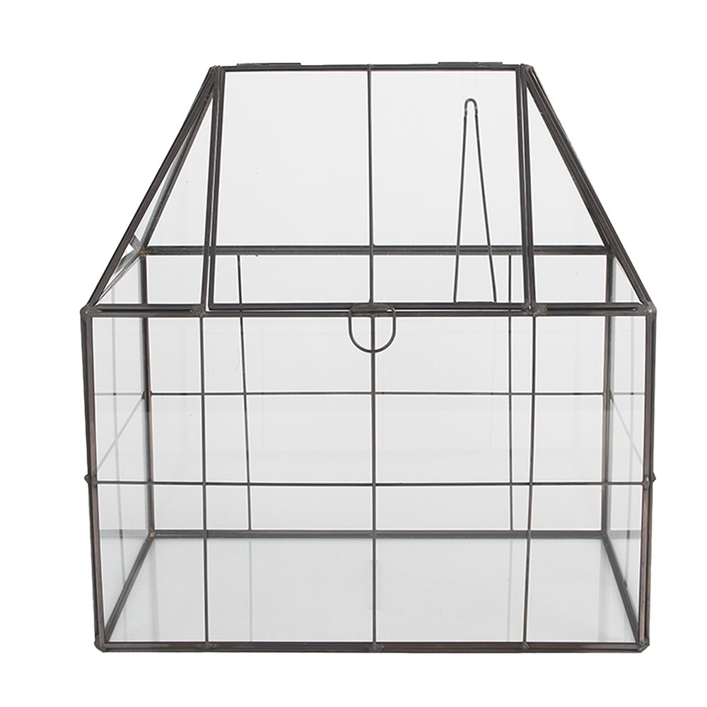 Decoratie KweekKastje 25x16x26 cm transparant metaal