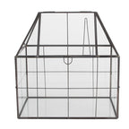 Decoratie KweekKastje 25x16x26 cm transparant metaal