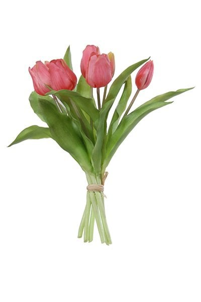 07600.428 Tulpenbundel 30cm donker roze