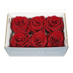 Rose Standaard W-Box 6 Rood
