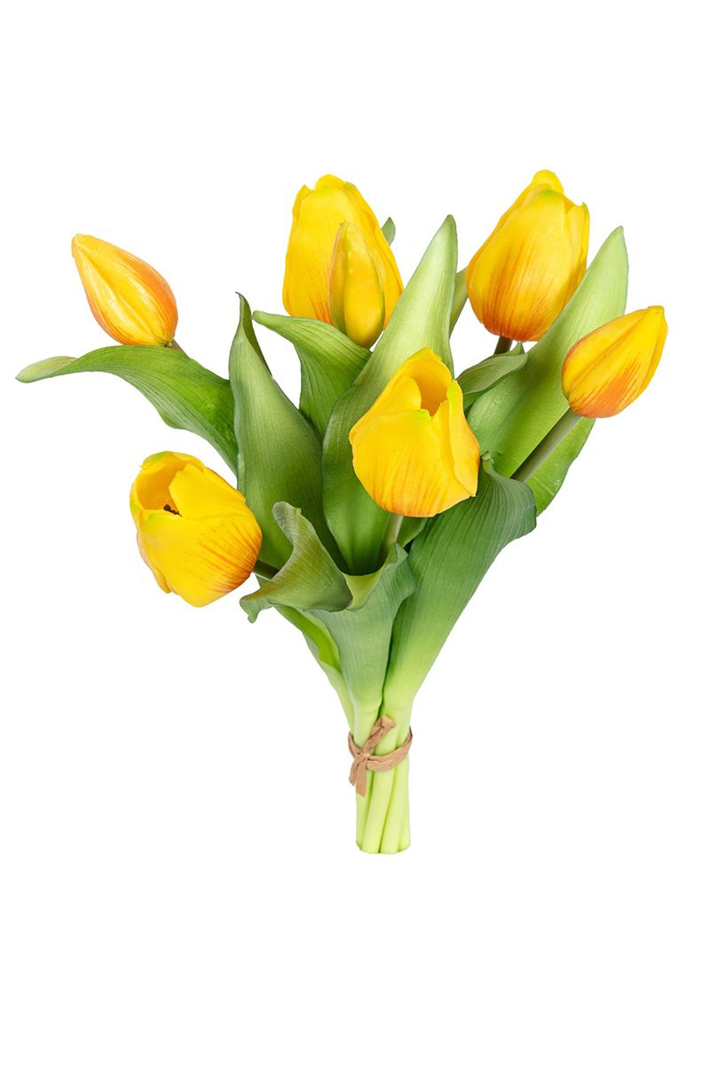 07600.480 Tulpenbundel 30cm geel