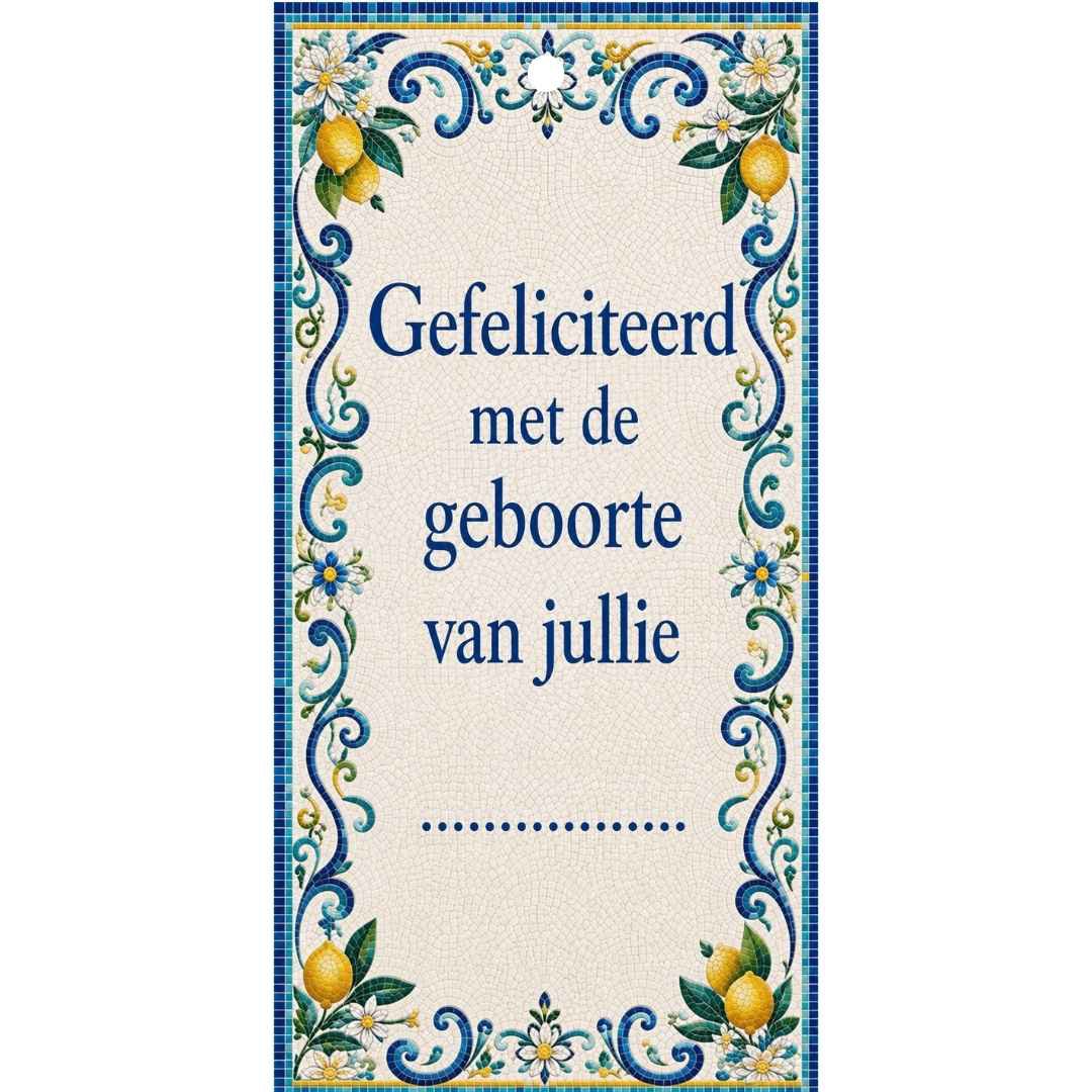 Cadeaukaartje - "Gefeliciteerd Met De Geboorte Van Jullie ......." - 20 Stuks