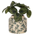 Bloempot Ø 16x15 cm Beige Groen Keramiek