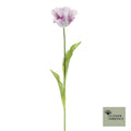Enkele papegaai Sally lavendel 71cm