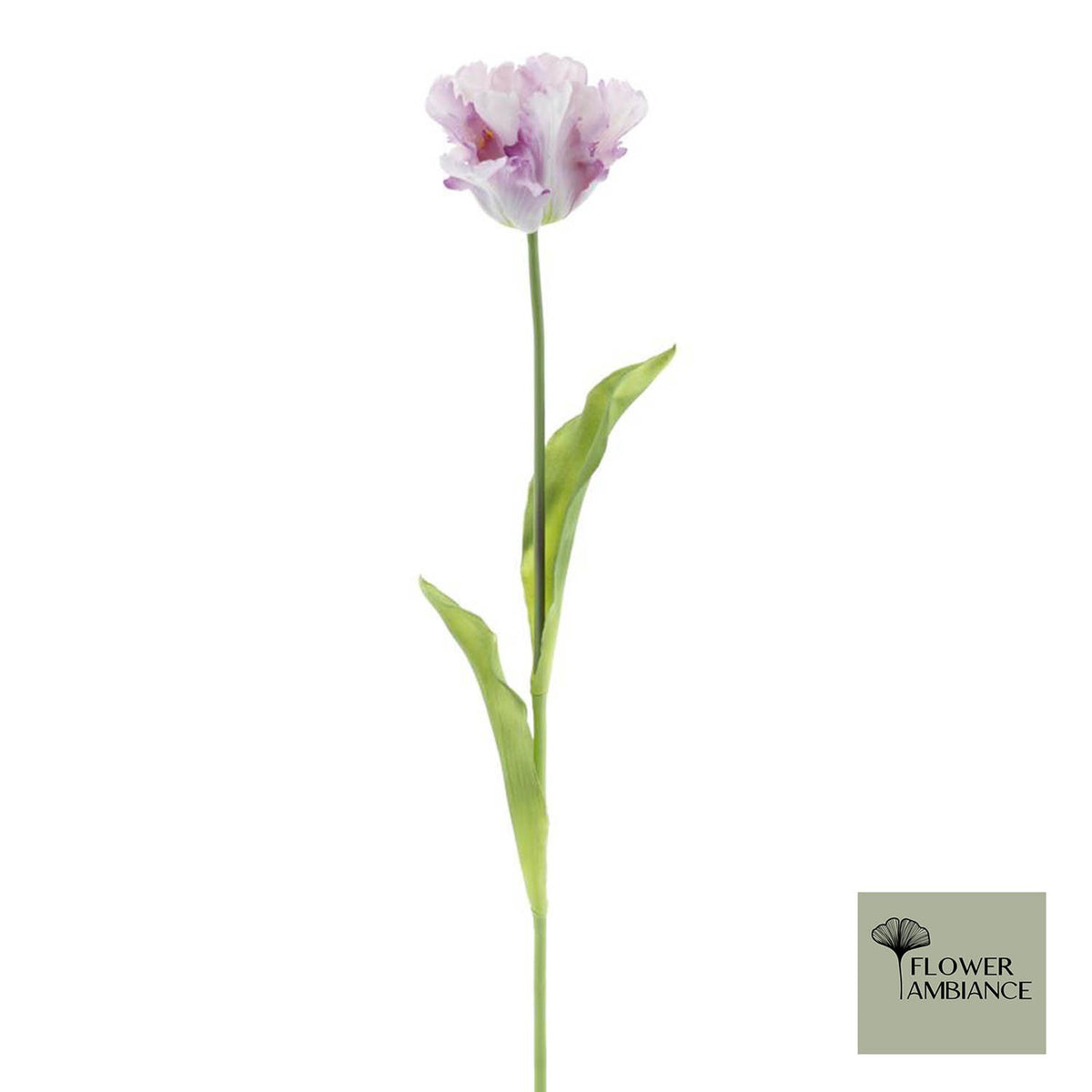 Enkele papegaai Sally lavendel 71cm