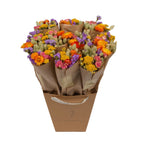 Market More Droogbloemen Boeket – Multi