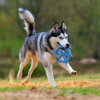 Skipper - cultspeelgoed voor honden
