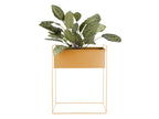 Plantenpotset Essence Straight