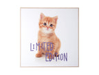 Wandkunst Kitten Limited Edition