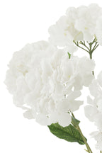J-Line bloemen boeket Hortensia - kunststof - wit