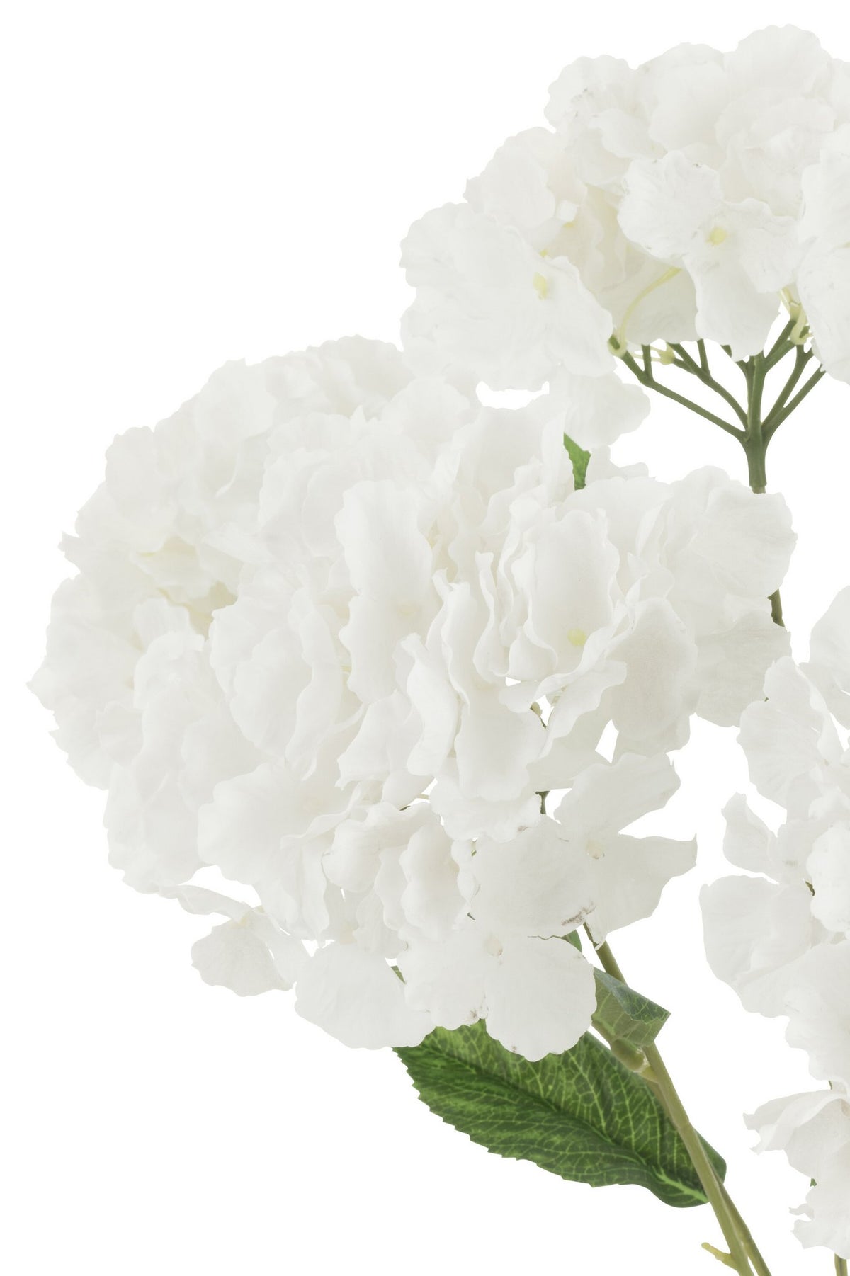 J-Line bloemen boeket Hortensia - kunststof - wit