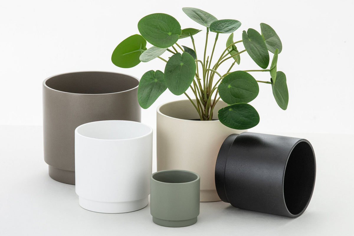 J-Line Piilea Peperomioides In Pot Kunststof Groen