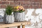 Bloempot Ø 19x16 cm Grijs Steen Veren Bloempot Binnen