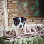 Cosy knuffeldeken voor honden