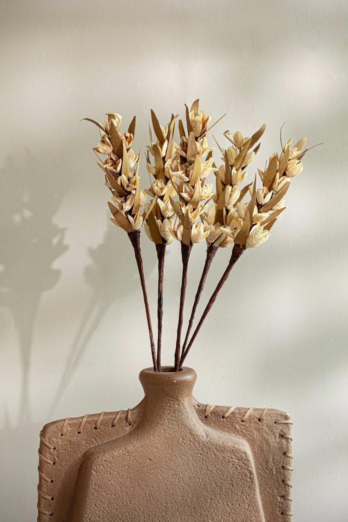 Malar Bakuli Droge Stengels – Natuurlijk – Geconserveerd Botanisch Decor – Set van 5