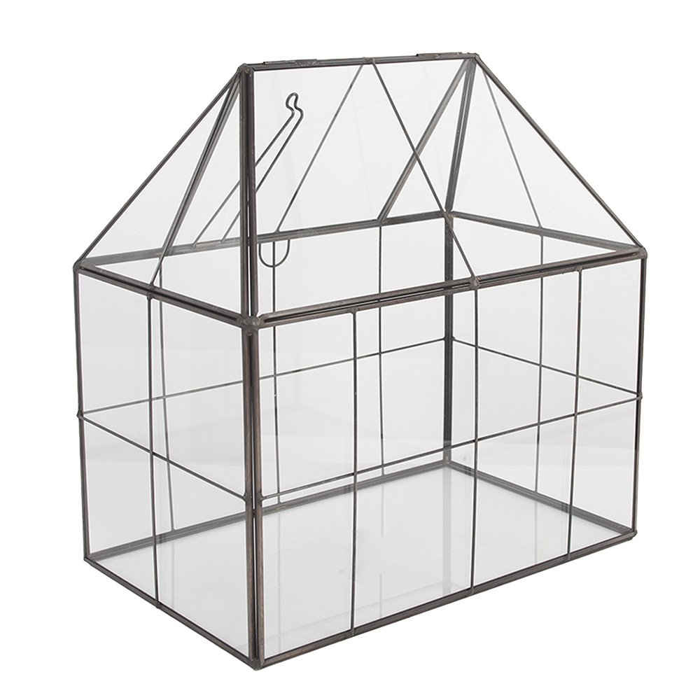 Decoratie KweekKastje 25x16x26 cm transparant metaal