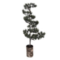 Mini Kunstkerstboom 28x28x80 cm / 3xAAA Groen Hout