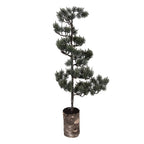 Mini Kunstkerstboom 28x28x80 cm / 3xAAA Groen Hout