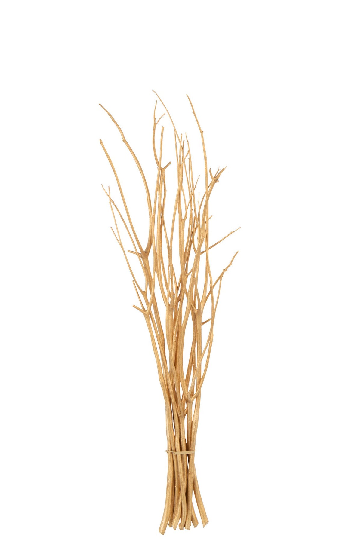 J-Line decoratie tak droogbloemen - riet - goud - small - 3 stuks