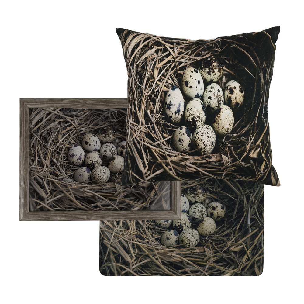 Deurmat eieren in nest 75x50cm