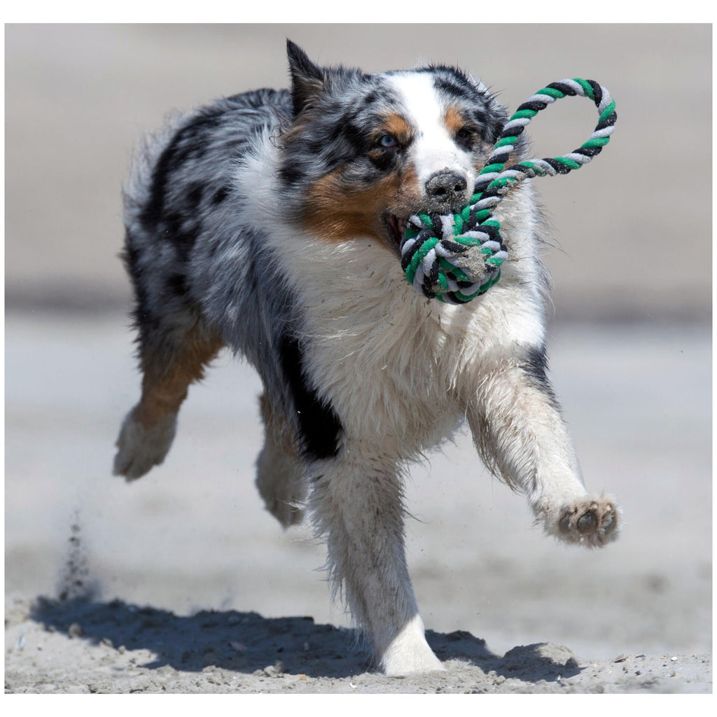 Mega slingerbal - cultspeelgoed voor honden