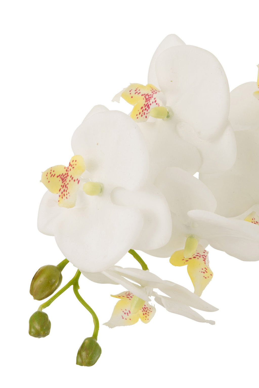 J-Line plant Orchidee In Aarde - kunststof - wit/groen - large