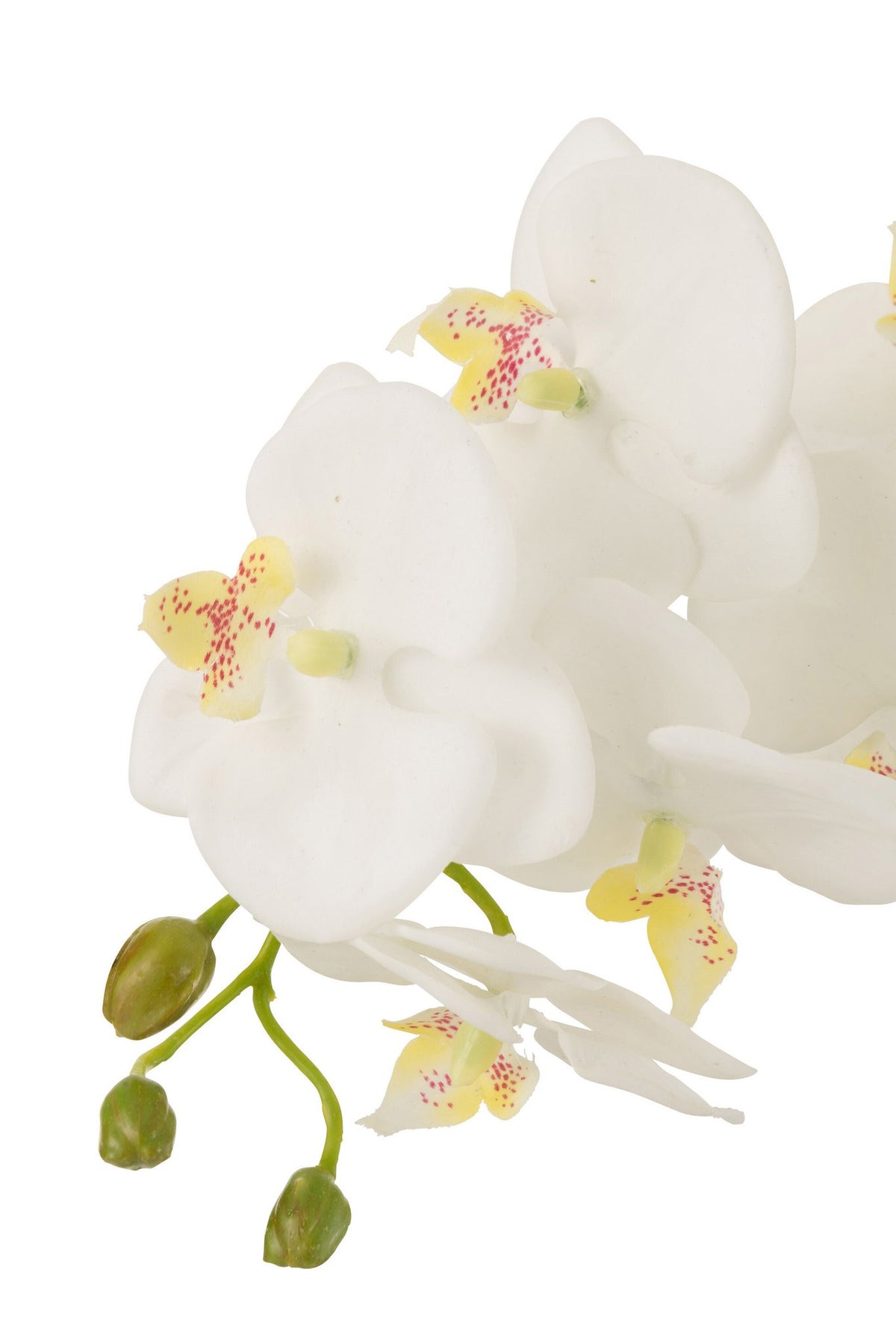 J-Line plant Orchidee In Aarde - kunststof - wit/groen - large