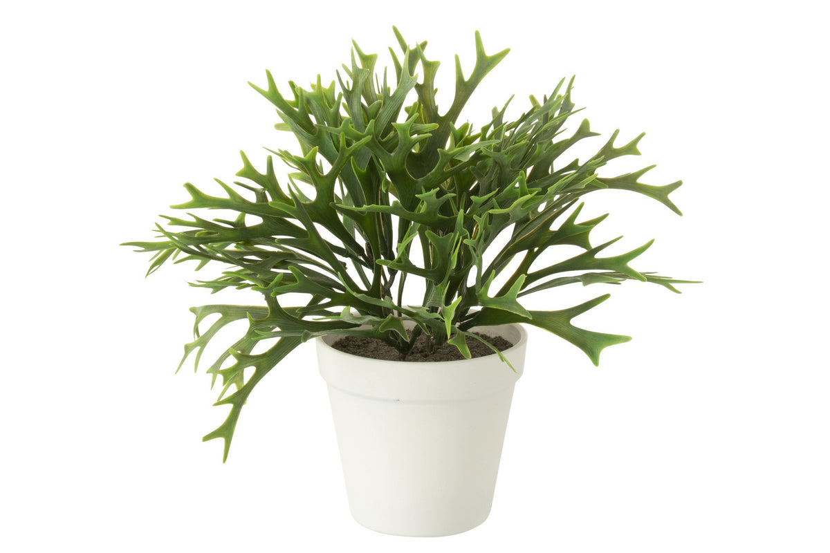 J-Line Platycerium Bifurcatum In Pot Kunstmatig Groen