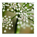 Romy Outdoor TextielPoster fotoprint 95x95cm