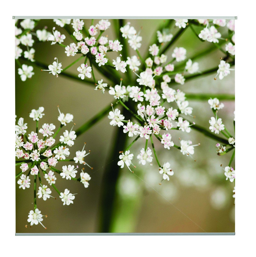 Romy Outdoor TextielPoster fotoprint 95x95cm
