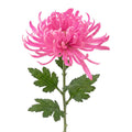 Kunstbloem Roze Kunststof