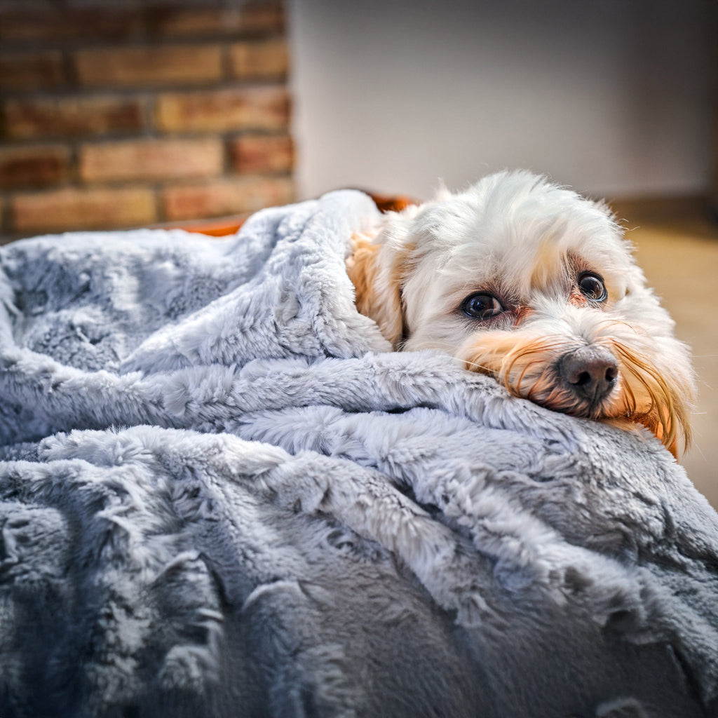 Cosy knuffeldeken voor honden