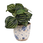 Bloempot Ø 11x10 cm Beige Blauw Keramiek Roosjes Bloempot Binnen