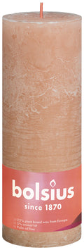 Shine rustiekkaars 190/68 Misty Pink