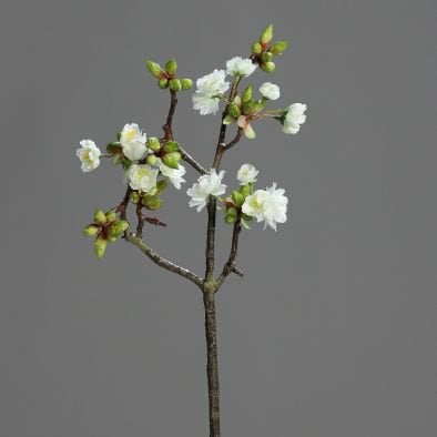 Kunsttak Kersenbloesem 58cm creme