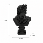 Zwarte Apollo buste sculptuur voor modern interieur