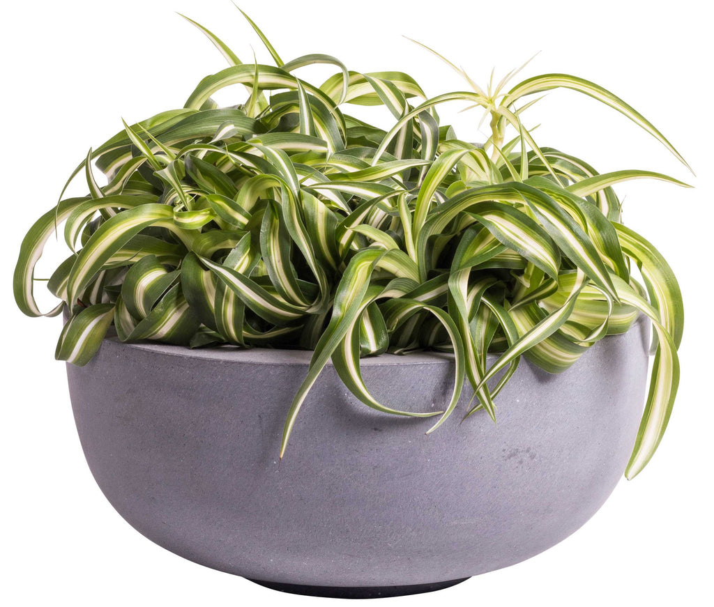 Plantenpot - Ducos S grey (set van 2 stuks)