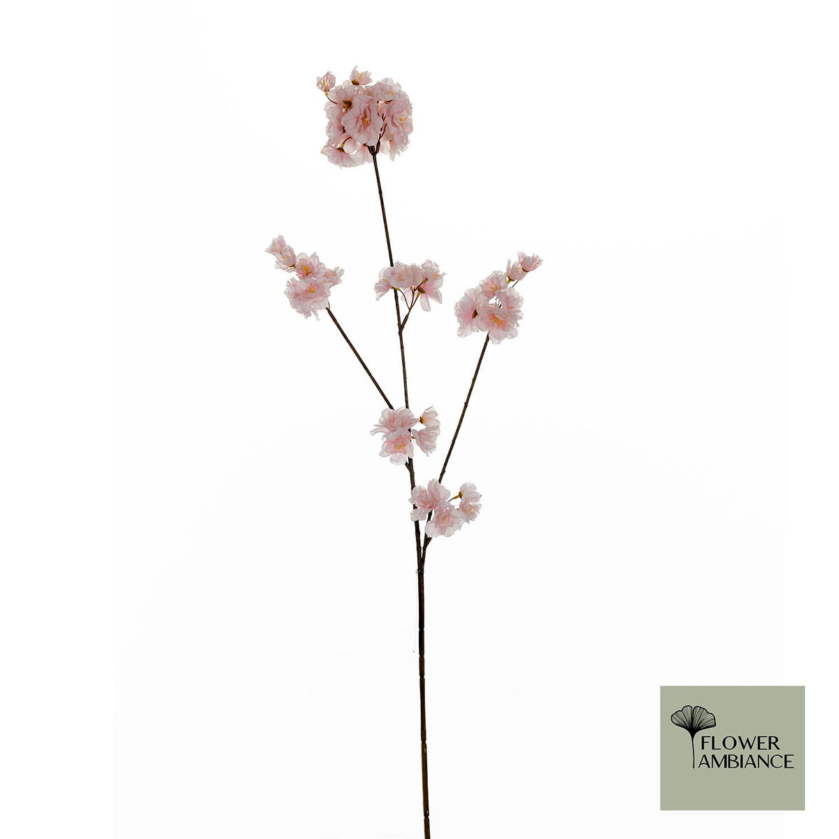 Prunus malaga trosroze 84cm