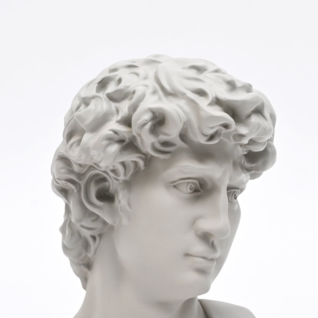 Witte David Bust Sculpture Michelangelo Geïnspireerd Klassiek Standbeeld voor Home Decor