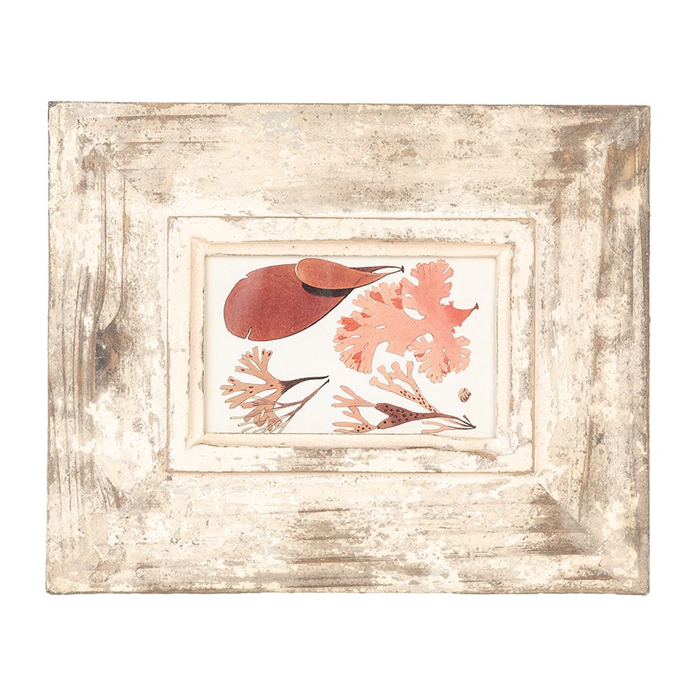 Fotolijst 10x15 cm Beige Hout Fotokader