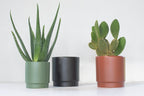 Sense pot mat olijf
