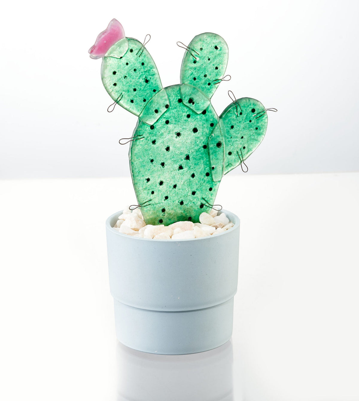 Tropische cactus klein 12x19x30 groen