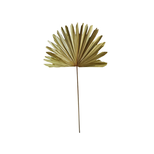 *palmblad tak gedroogd 103cm*