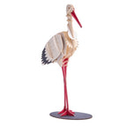 Papiermodel Ooievaar