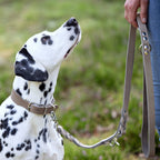 Giro leren halsband voor honden