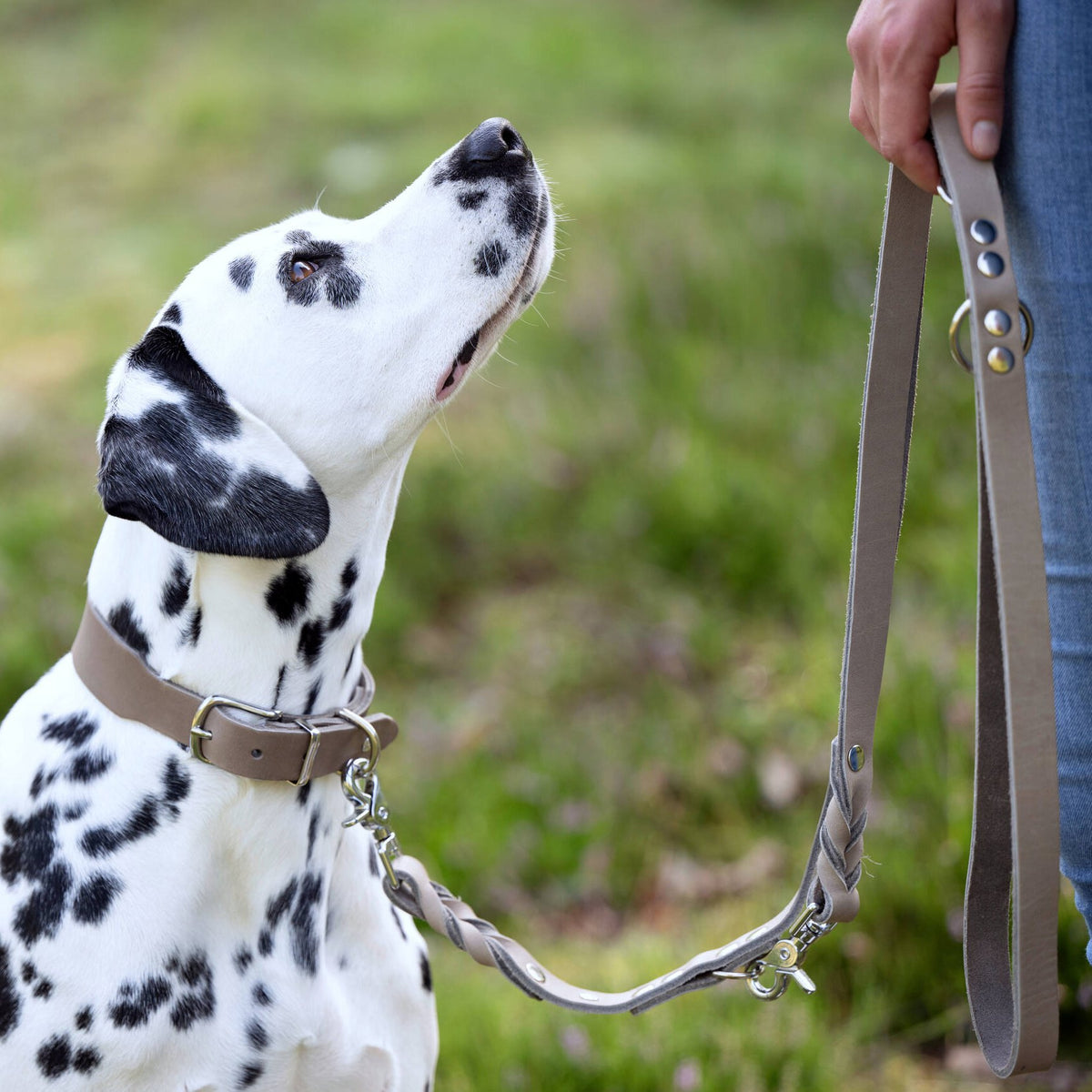 Giro leren halsband voor honden
