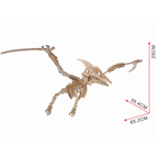 Bouwpakket Pterosaurus- kleur