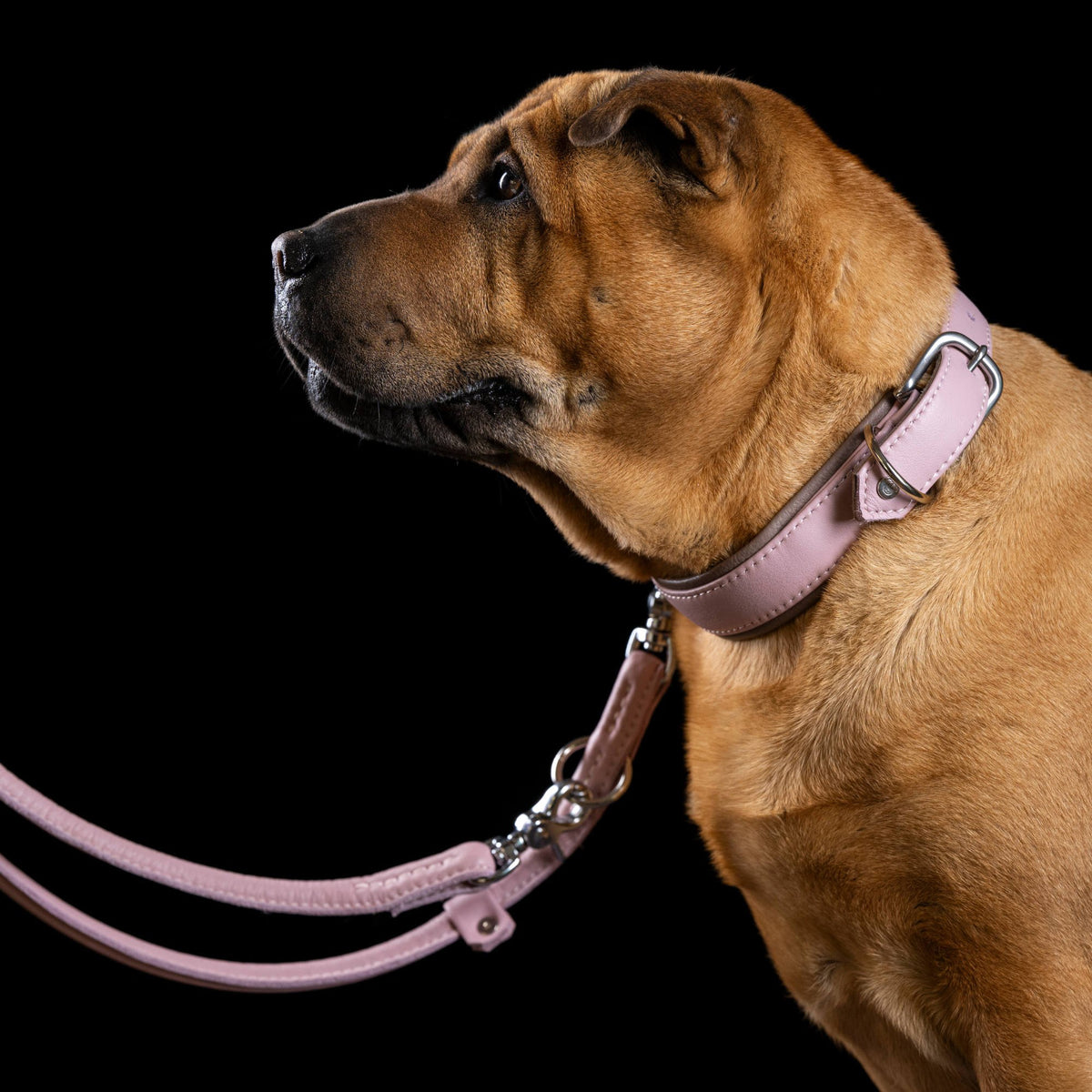Laboni Amici – Rondgestikte leren riem