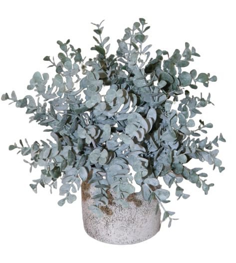 Eucalyptus in keramiek pot 28cm groen